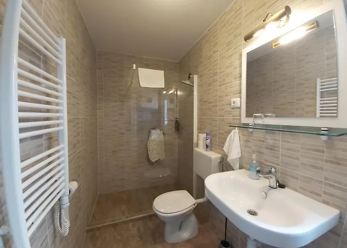 게스트하우스 Sobe Dragic 3*