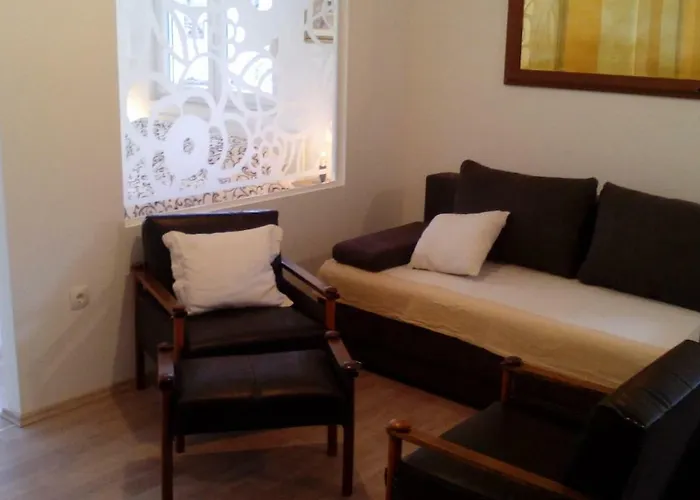 Sobe Dragic זאדאר